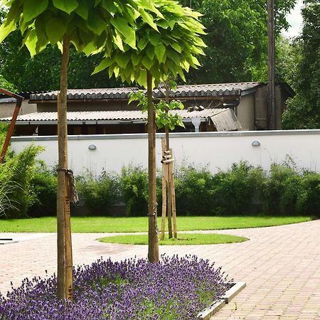 Villa Veda Циденик Екстериор снимка
